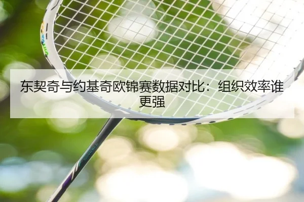 东契奇与约基奇欧锦赛数据对比：组织效率谁更强